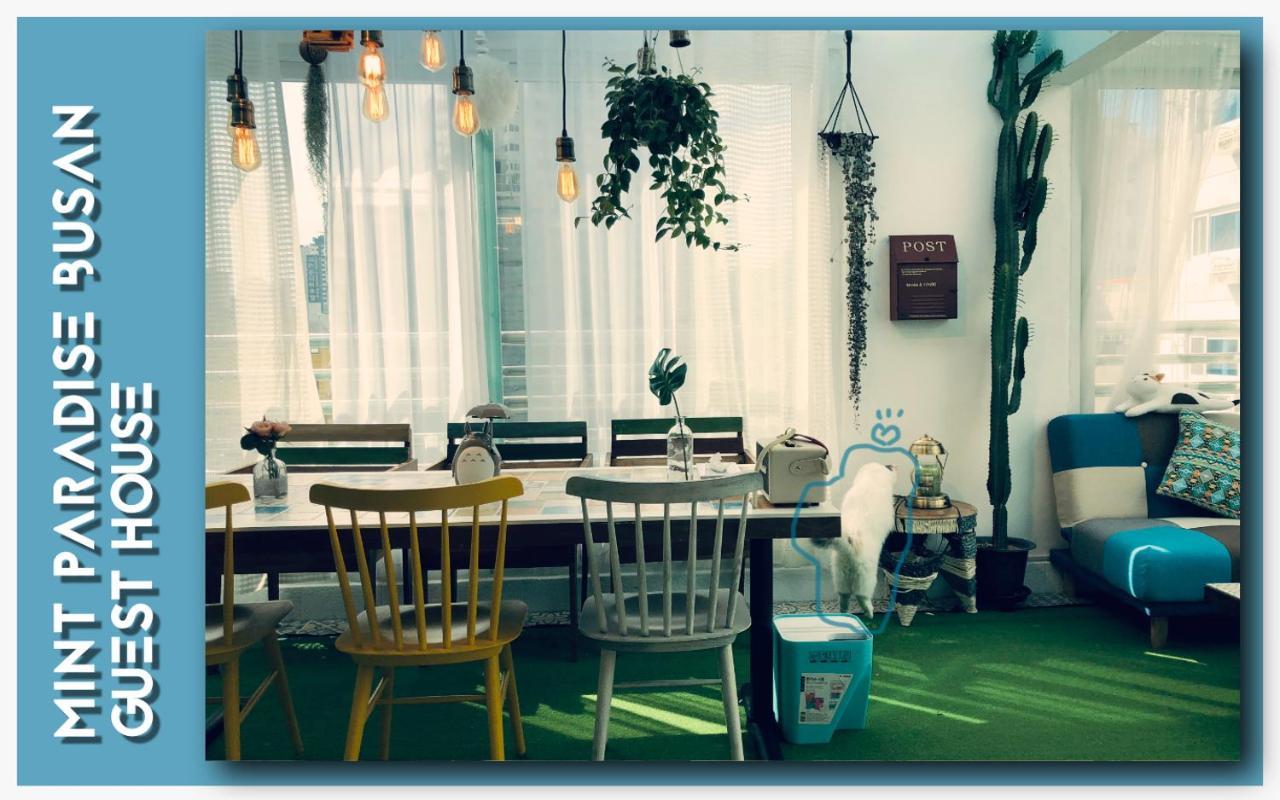 Mint Paradise בוסאן מראה חיצוני תמונה